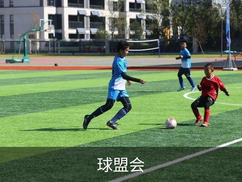 球盟会简介