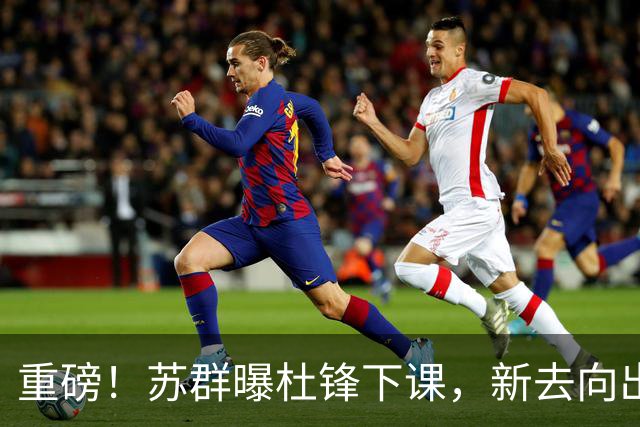 重磅！苏群曝杜锋下课，新去向出炉，球迷喊话杨鸣接手，能行吗？
